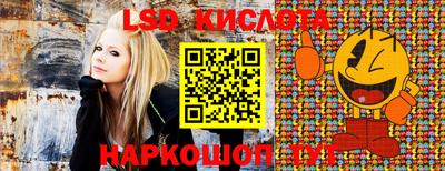 ПСИЛОЦИБИНОВЫЕ ГРИБЫ Апшеронск