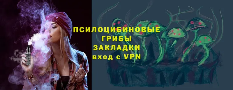 нарко площадка Telegram  Аргун  Галлюциногенные грибы Psilocybine cubensis  OMG сайт 