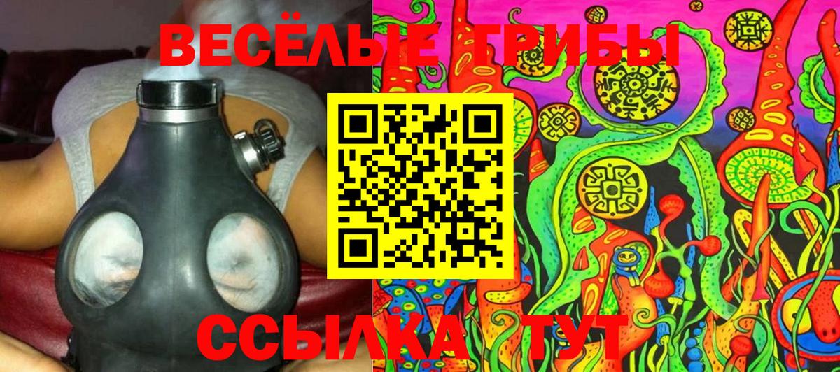 Псилоцибиновые грибы Psilocybe  Вход с VPN  Галлюциногенные грибы GOLDEN TEACHER  Аргун 