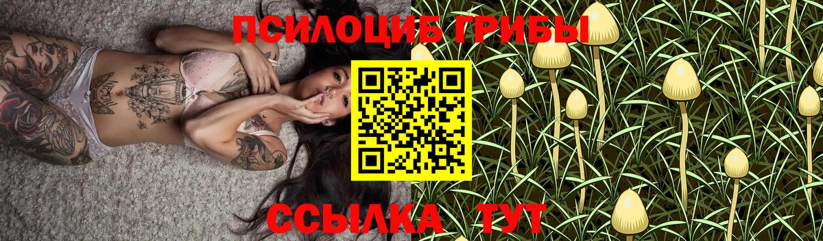 Псилоцибиновые грибы Cubensis  Галлюциногенные грибы мицелий  продажа наркотиков  Аргун 