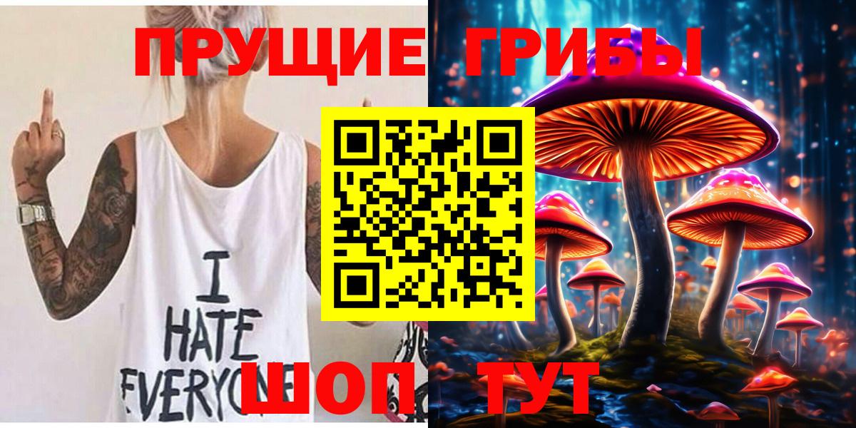 Псилоцибиновые грибы Psilocybine cubensis Аргун